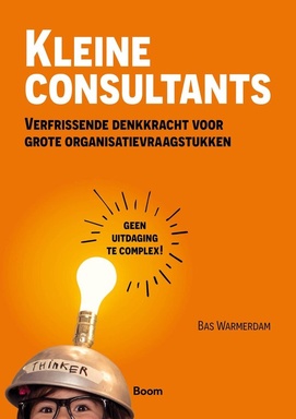 Kleine consultants