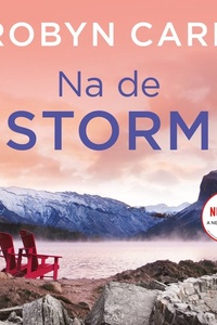 Na de storm