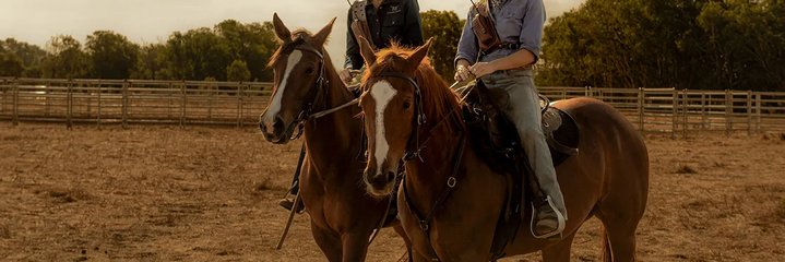 Komt er een tweede seizoen van Territory op Netflix?