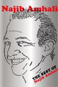 Najib Amhali - The Best Of