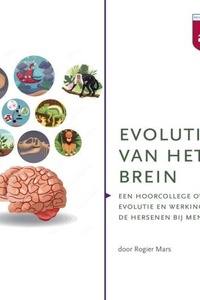 Evolutie van het brein
