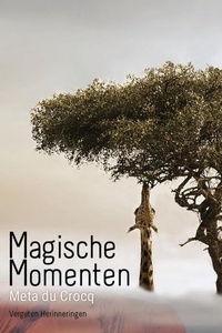 Vergeten Herinneringen 2 - Magische Momenten