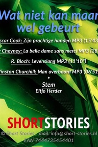 Wat niet kan maar wel gebeurt