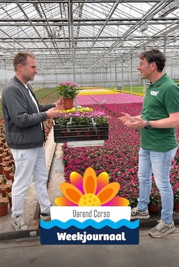 Varend Corso Weekjournaal
