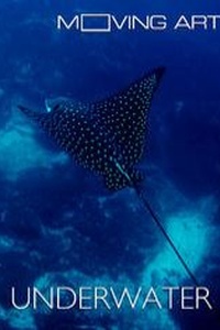 Moving Art: Underwater