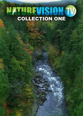 NatureVision TV (S02)