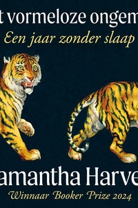 Het vormeloze ongemak: Een jaar zonder slaap