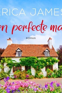 Een perfecte man