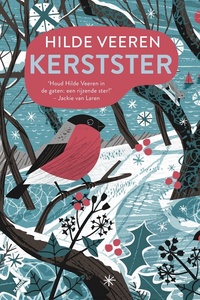 Cottage aan zee 4 - Kerstster