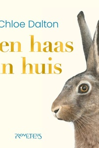 Een haas in huis