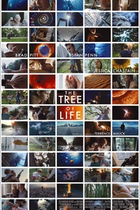 The Tree of Life