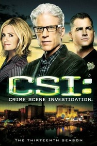 CSI: Crime Scene Investigation (S16)