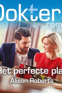 Het perfecte plan