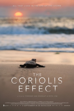 The Coriolis Effect