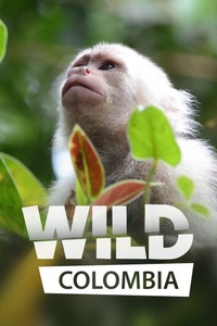 Wild Colombia