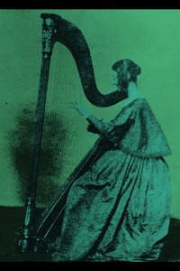 Grapes Upon the Vine