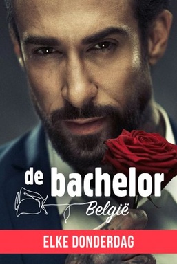 De Bachelor België