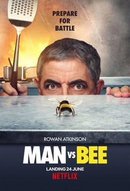 Man vs Bee