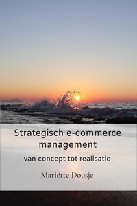 Strategisch e-commerce management
