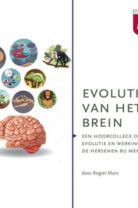 Evolutie van het brein