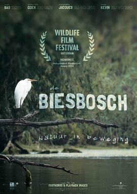 De Biesbosch: Natuur in beweging