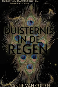 Duisternis in de regen
