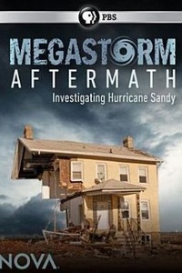 Megastorm Aftermath