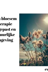 Bach bloesem therapie toegepast en natuurlijke omgeving