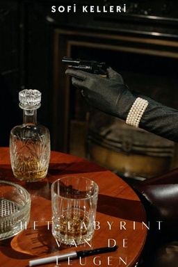 Het Labyrint van de Leugen