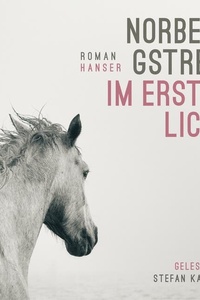 Im ersten Licht: Roman