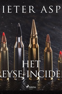 Het Dreyse-incident