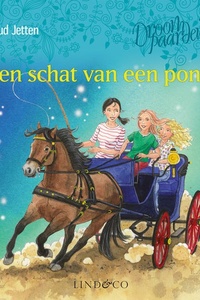 Een schat van een pony - Droompaarden 6