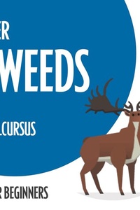 Leer Zweeds (taalcursus voor beginners)