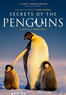 Secrets of the Penguins
