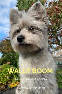 Wally Boom