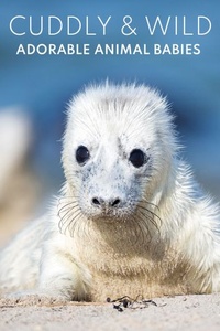 Cuddly & Wild: Adorable Animal Babies