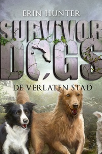 De verlaten stad