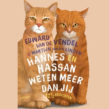 Hannes en Hassan weten meer dan jij: 12 ½ gedichten