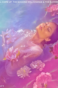 The Sun Will Come up, The Seasons Will Change & The Flowers Will Fall