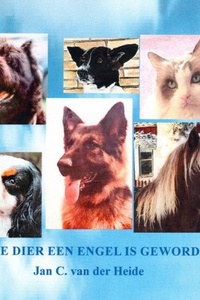 Als je dier een engel is geworden