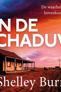 In de schaduw