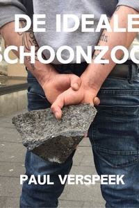 De ideale schoonzoon