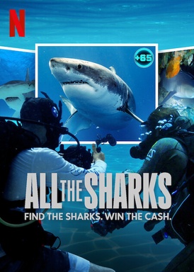 All the Sharks