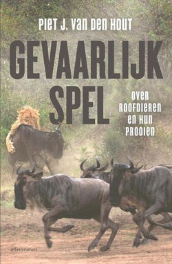 Gevaarlijk spel