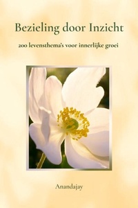 Bezieling door Inzicht