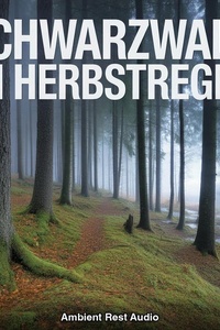 Schwarzwald im Herbstregen: 8 Stunden Sanfter Regen im Tannenwald