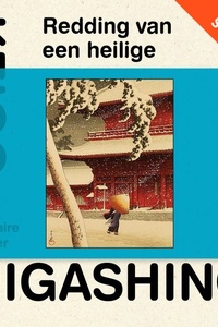 Redding van een heilige