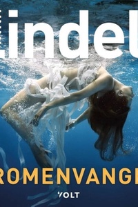 Dromenvanger