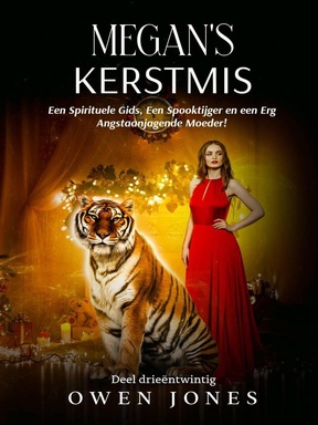 De Megan Reeks 23 - Megan's Kerstmis