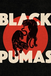 Black Pumas